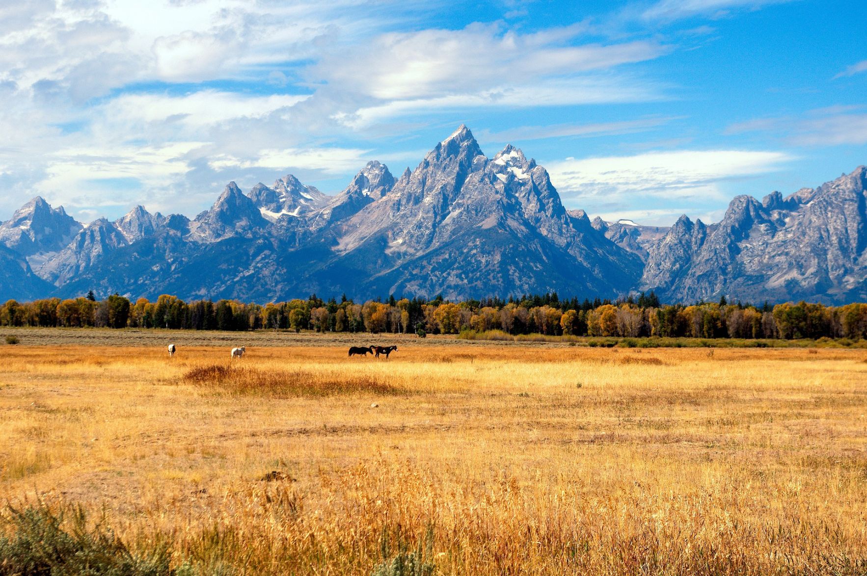3. Jackson Hole, Wyo.